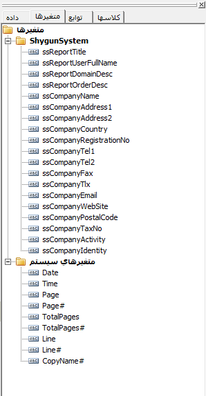 منوی متغیرها در گزارش‌گر پویا سیستم حسابداری