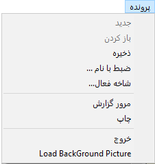 منوی پرونده گزارش ساز Quick Report در حسابگر
